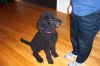 Picture_0031.jpg