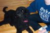 Picture_0036.jpg