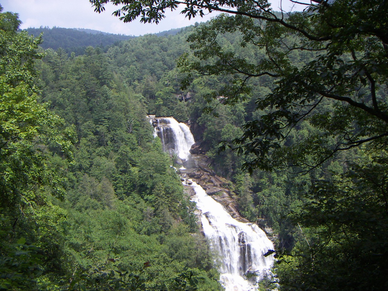 PICT0302.JPG