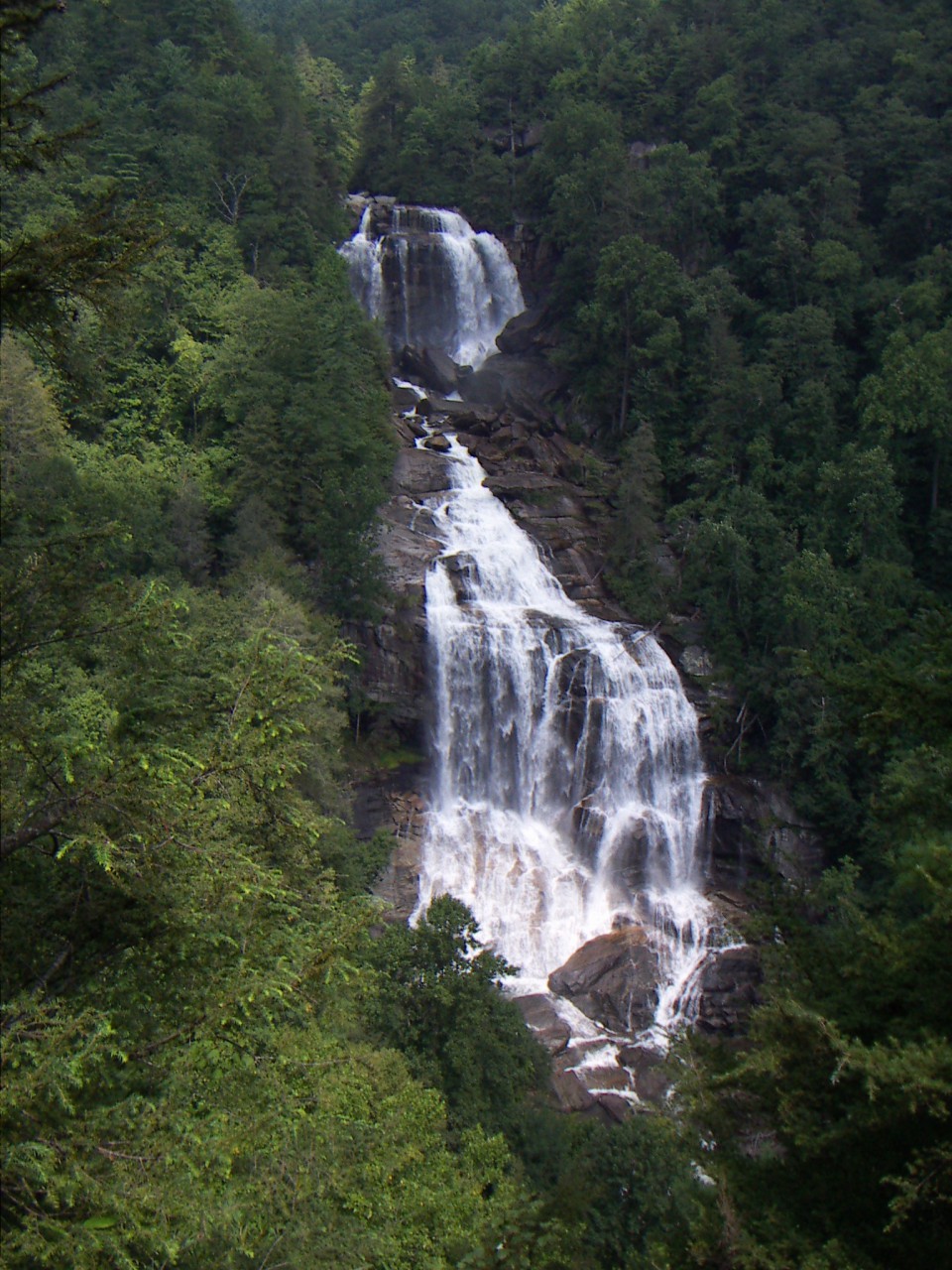 PICT0303.JPG