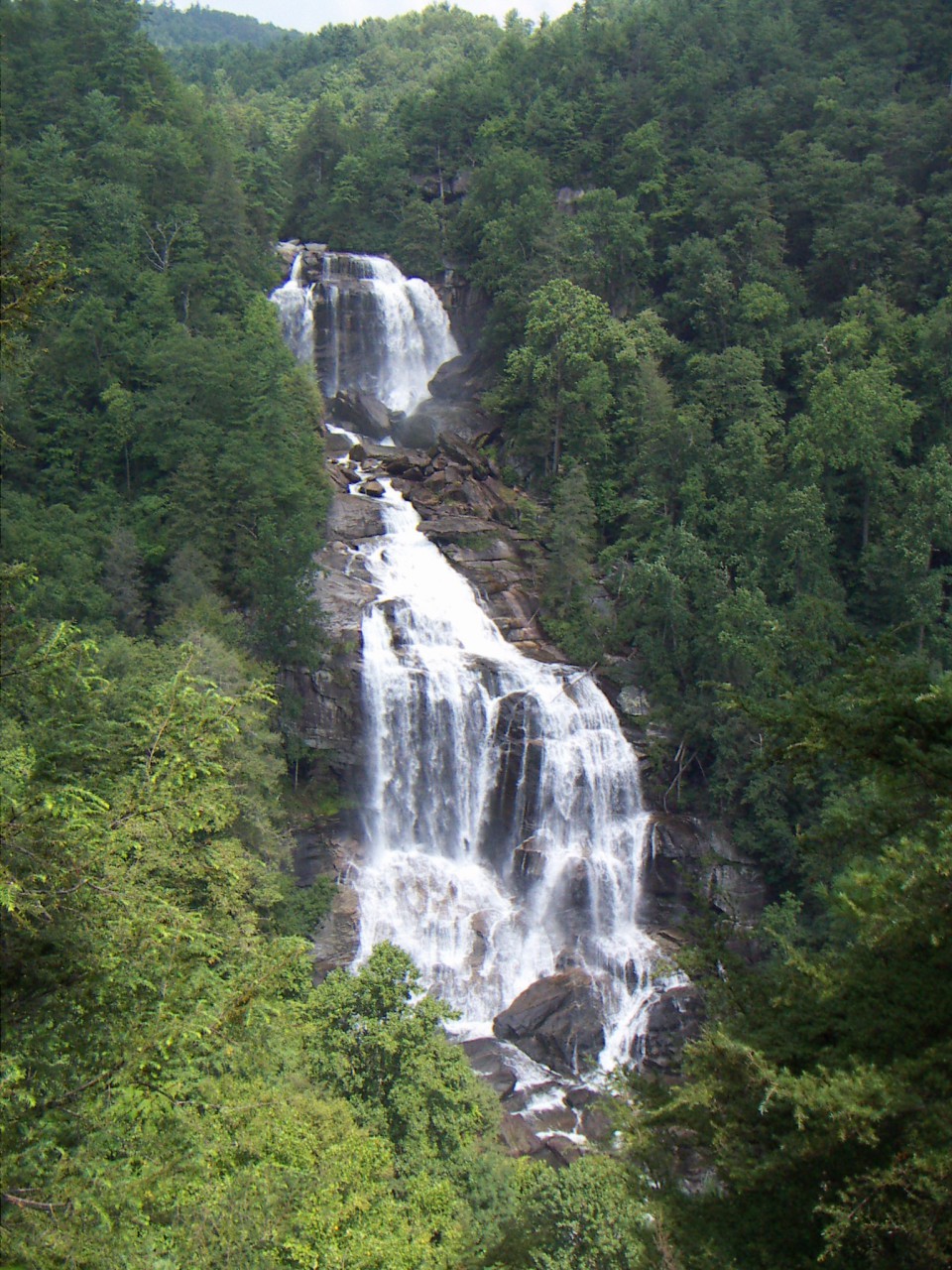 PICT0305.JPG