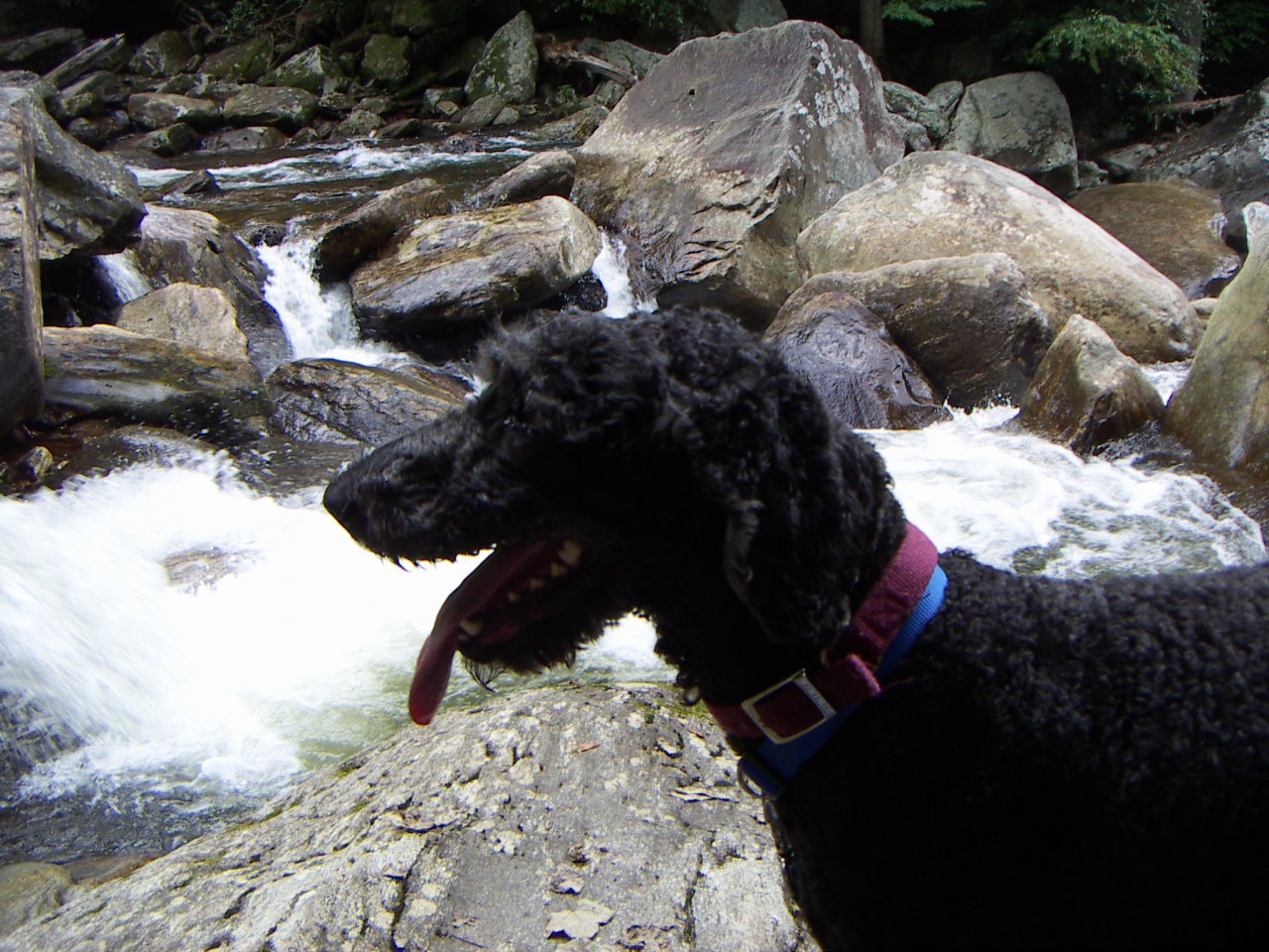 PICT0307.JPG