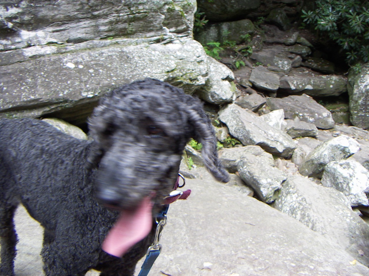 PICT0308.JPG
