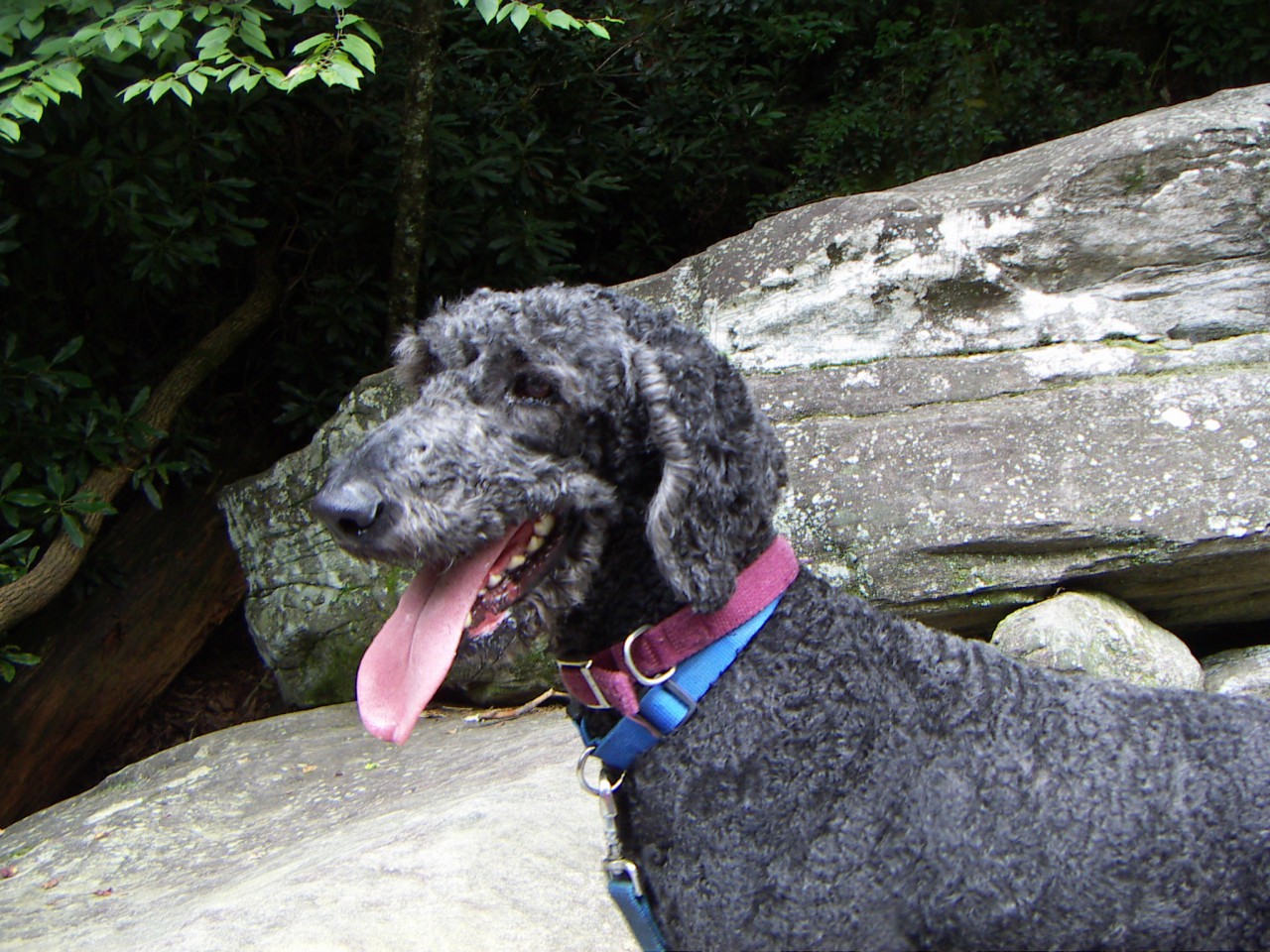 PICT0309.JPG