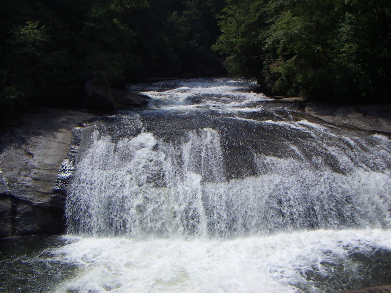 PICT0313.JPG
