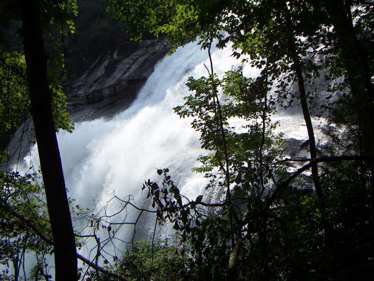 PICT0317.JPG