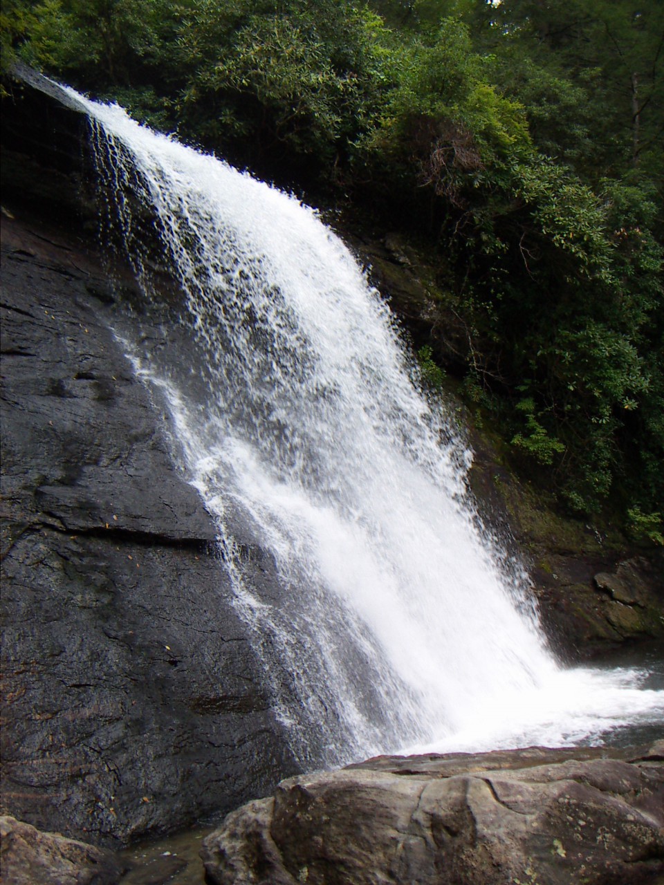 PICT0333.JPG
