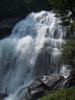 PICT0318.JPG