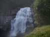 PICT0322.JPG