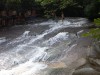PICT0338.JPG