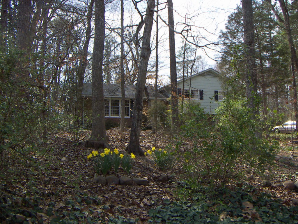 PICT0033.JPG
