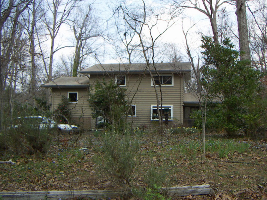 PICT0037.JPG