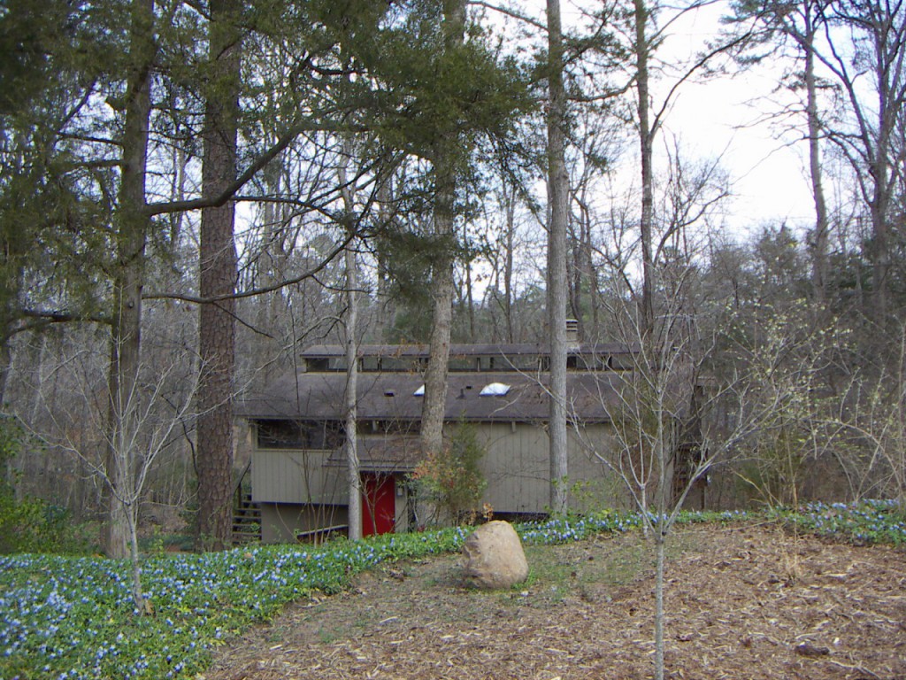 PICT0040.JPG