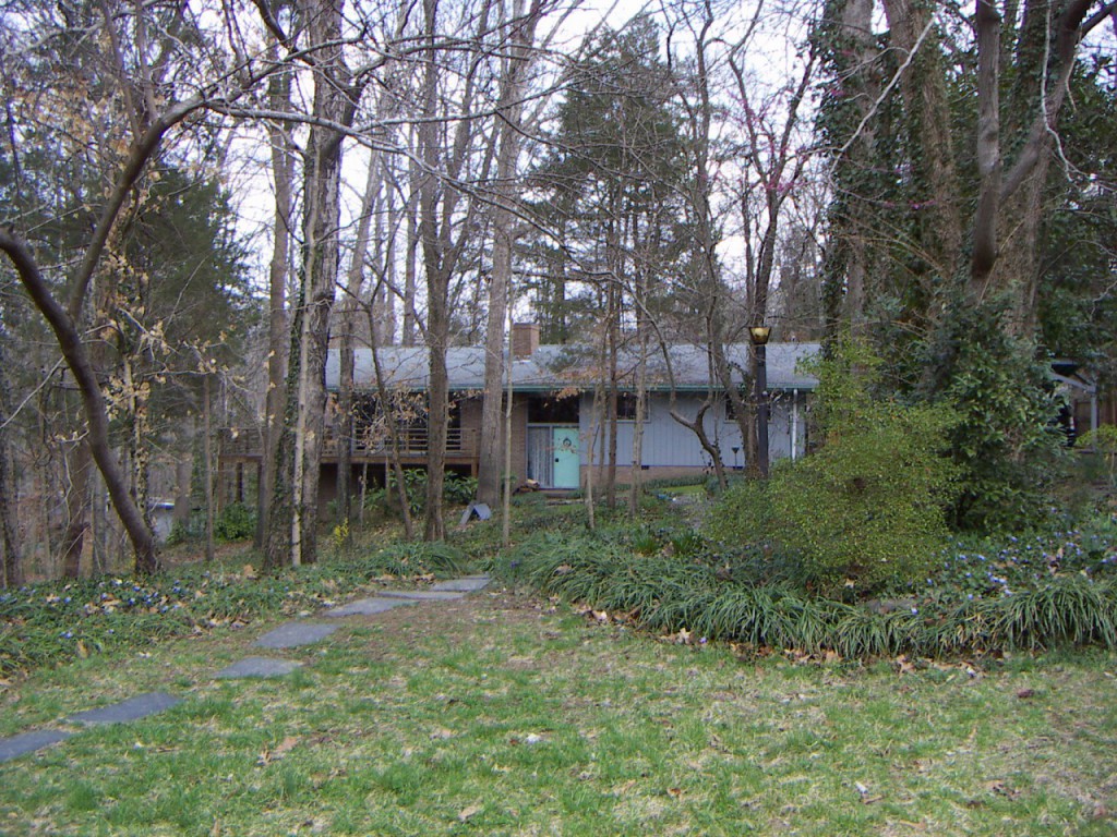 PICT0041.JPG