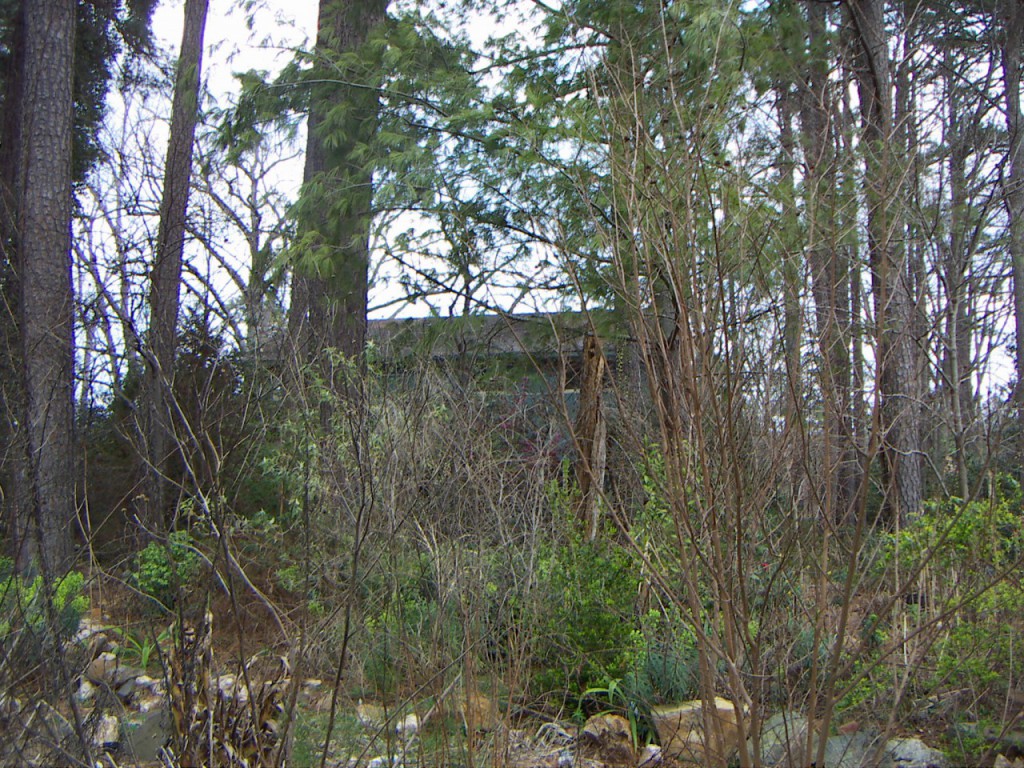 PICT0044.JPG