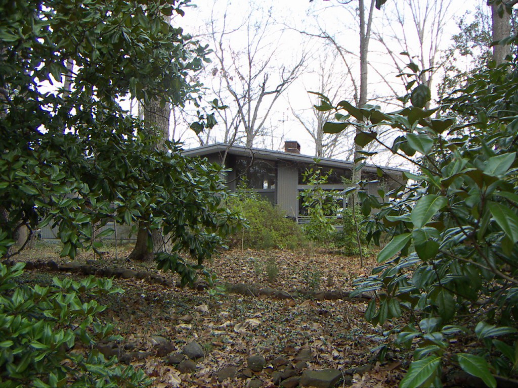 PICT0047.JPG