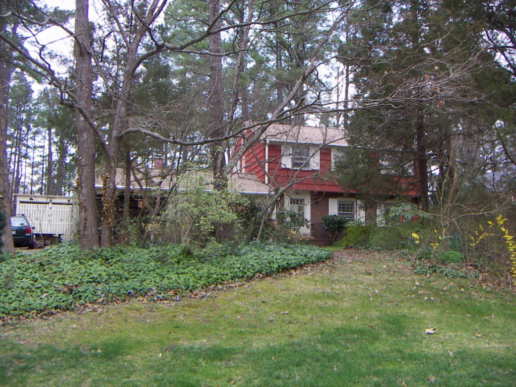 PICT0053.JPG