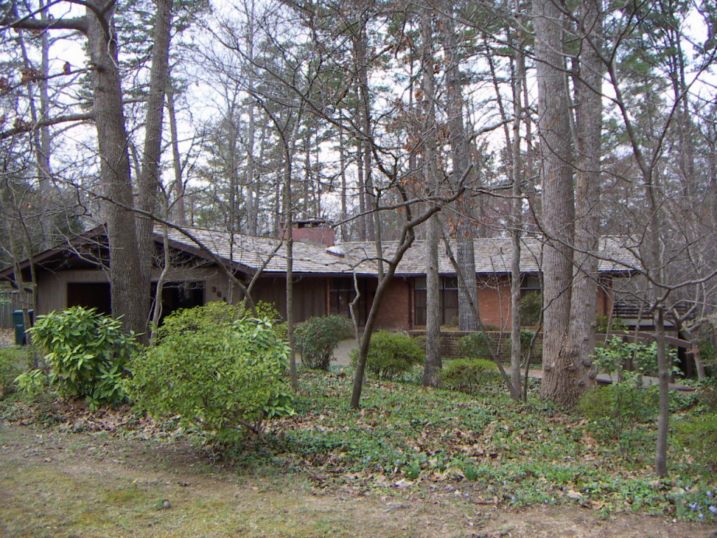 PICT0060.JPG
