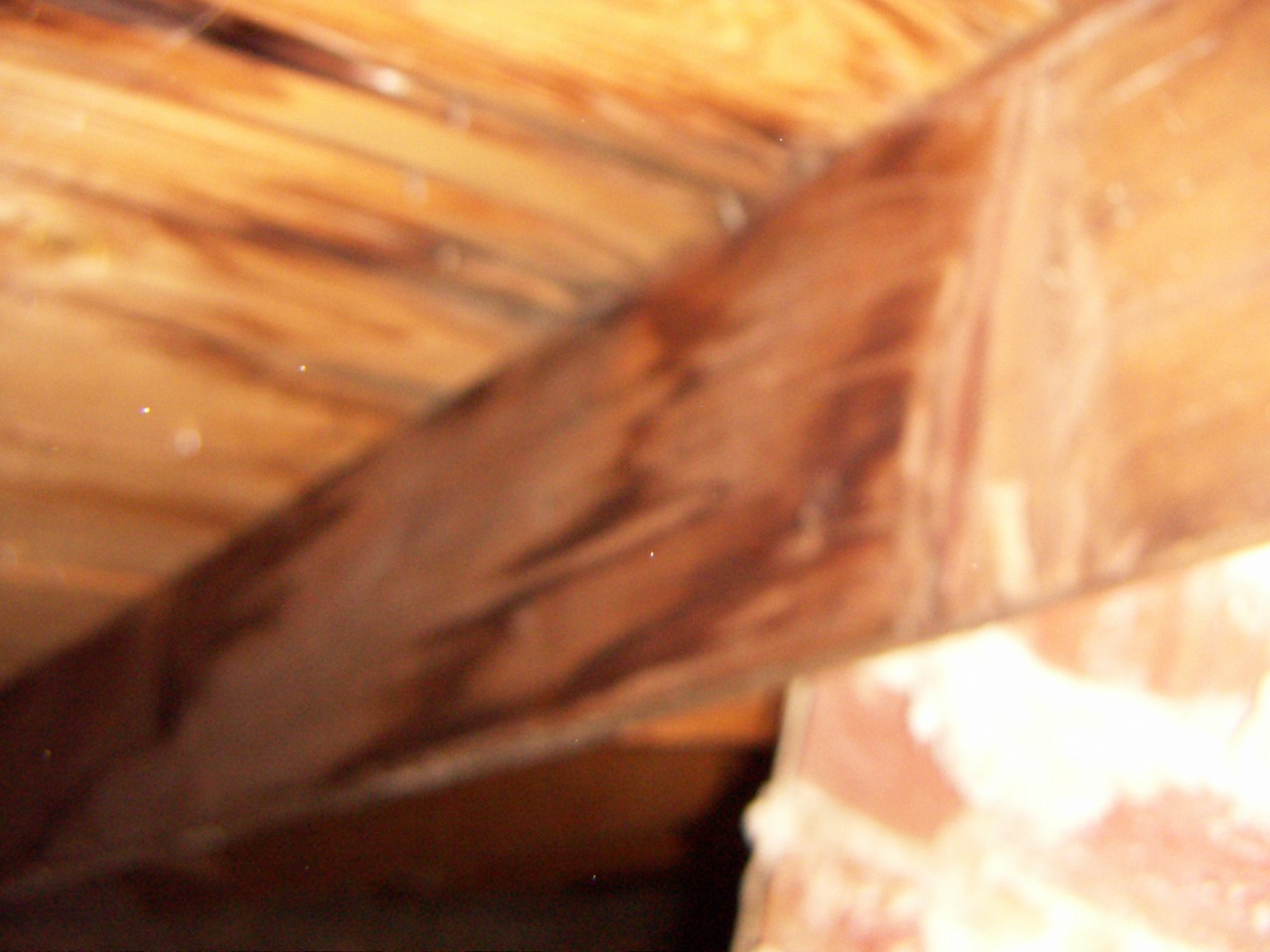 PICT0009.JPG