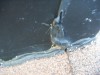 PICT0004.JPG