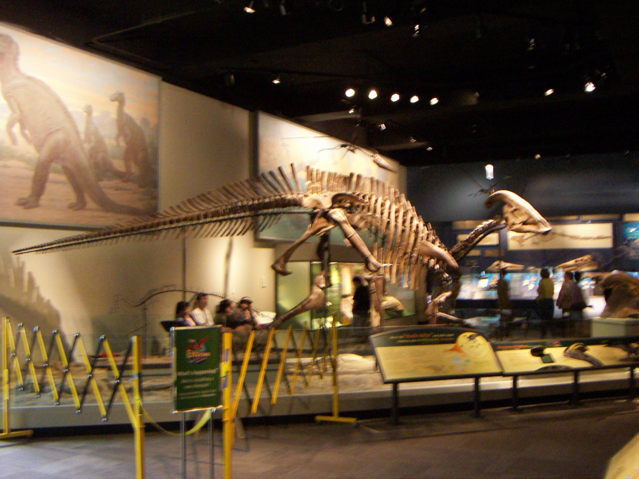 PICT0021.JPG