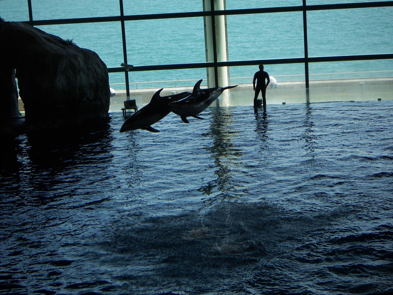 PICT0102.JPG