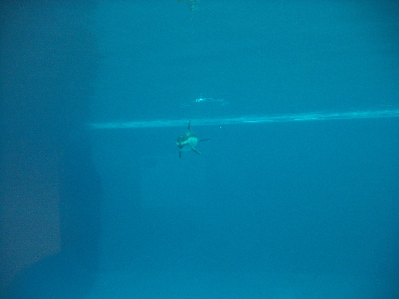 PICT0113.JPG