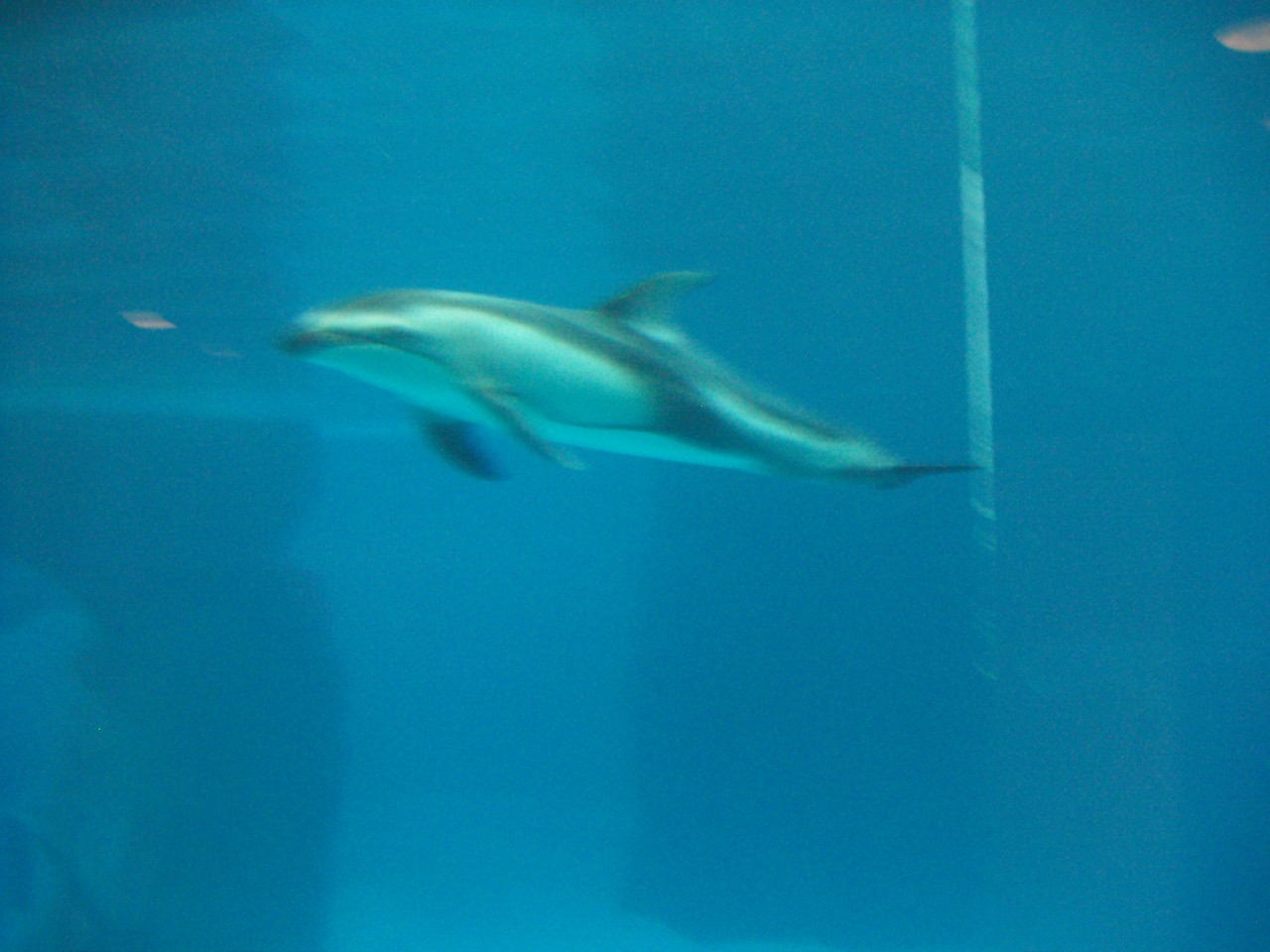 PICT0114.JPG