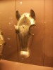 PICT0063.JPG