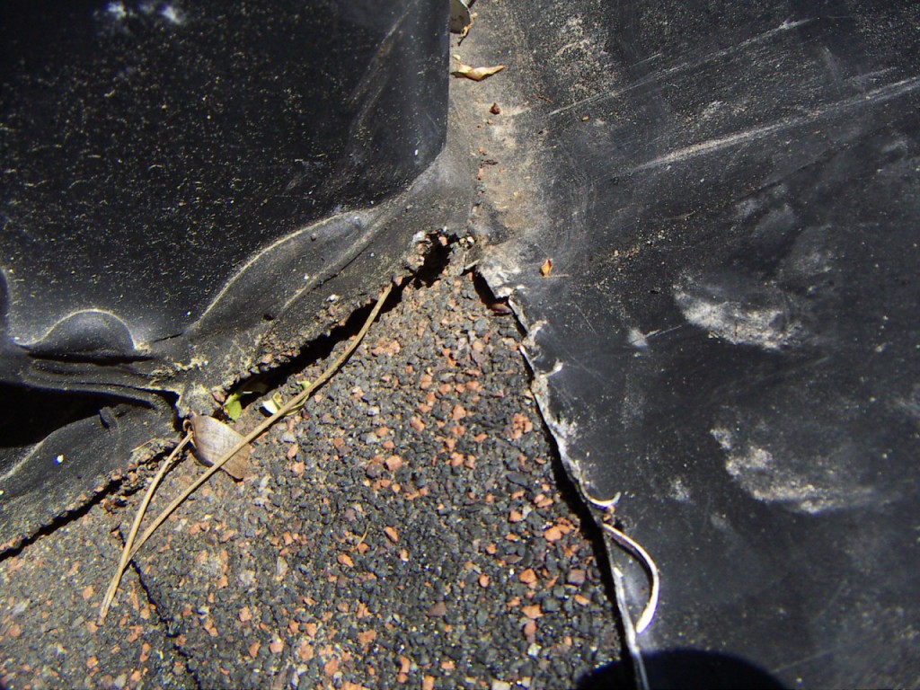 PICT0077.JPG