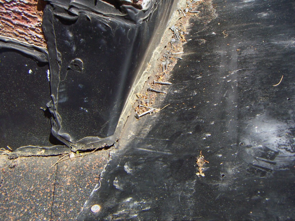 PICT0079.JPG