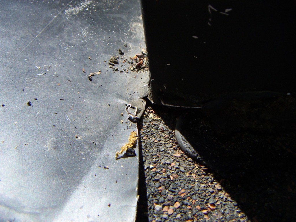 PICT0086.JPG