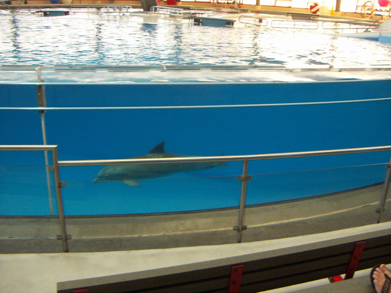 PICT0188.JPG