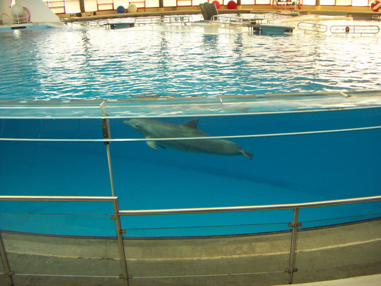 PICT0191.JPG