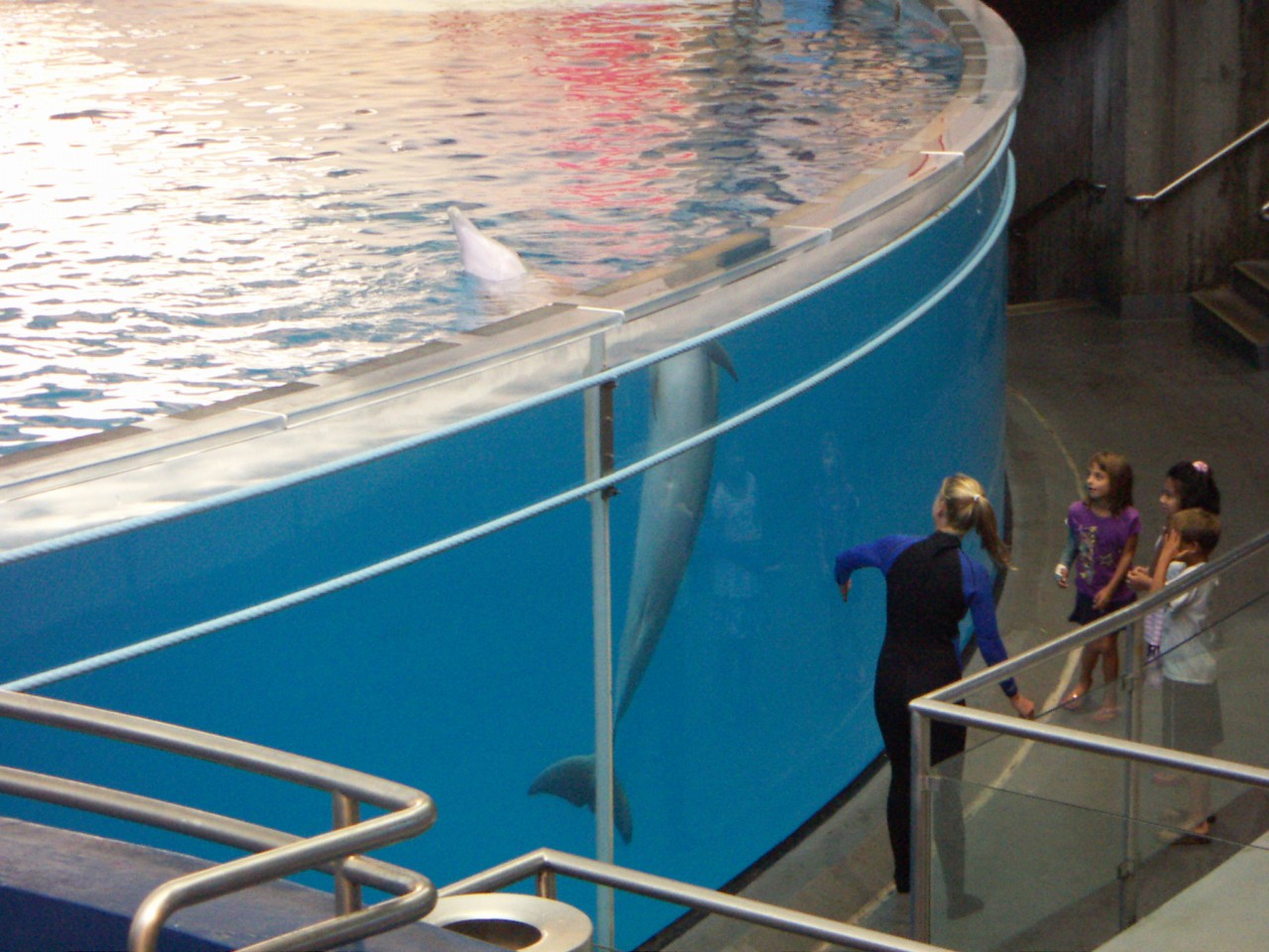 PICT0197.JPG