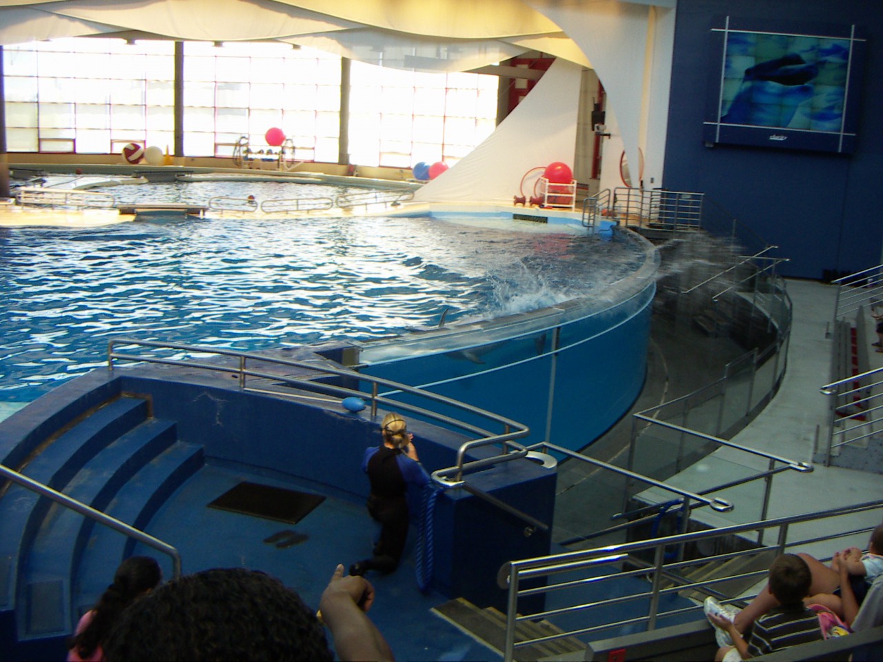 PICT0203.JPG