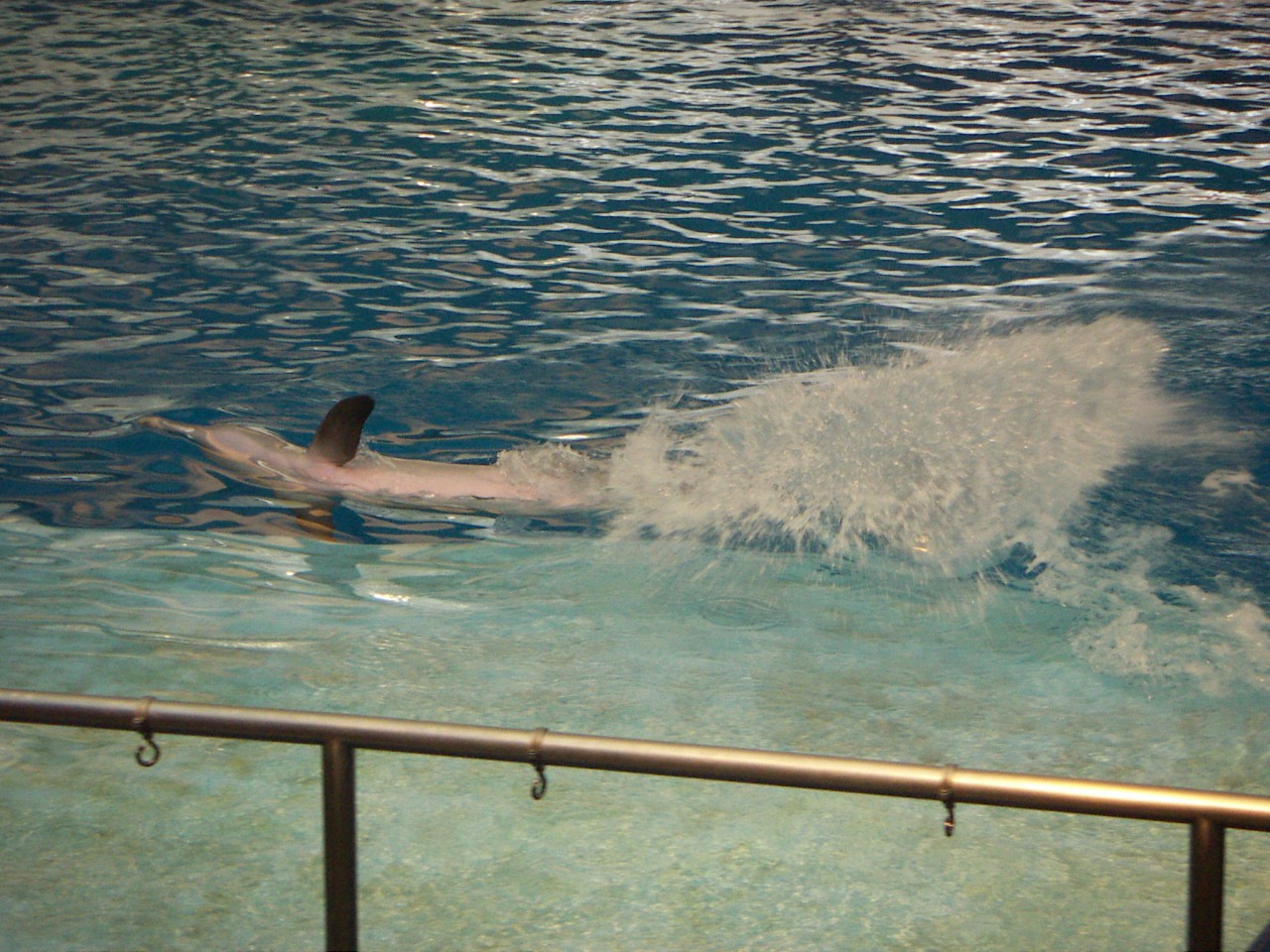 PICT0204.JPG
