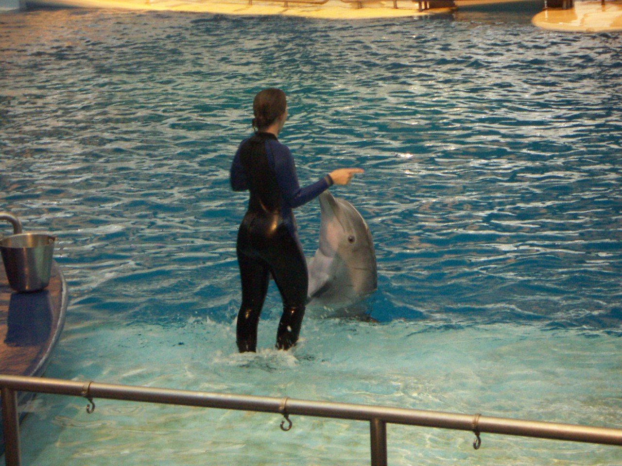 PICT0206.JPG