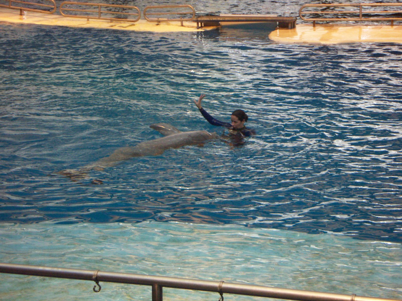PICT0211.JPG