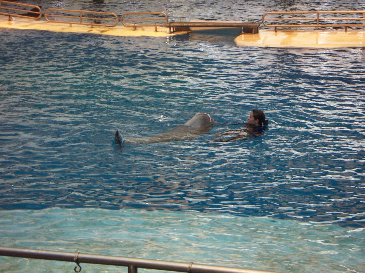 PICT0212.JPG