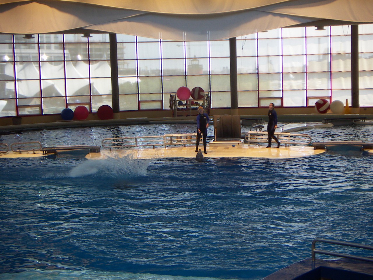 PICT0215.JPG
