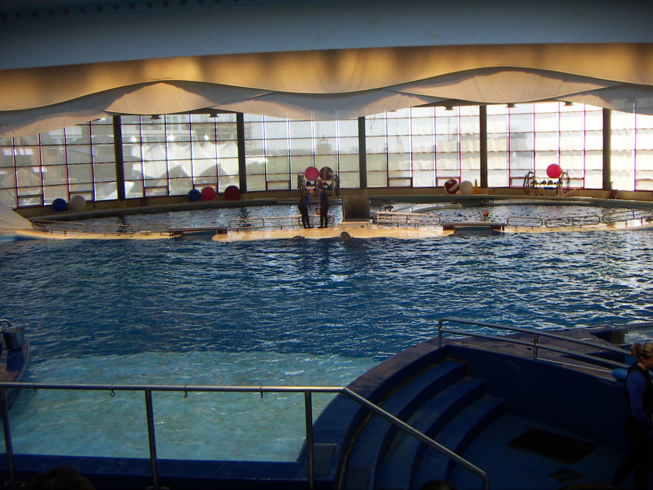 PICT0218.JPG