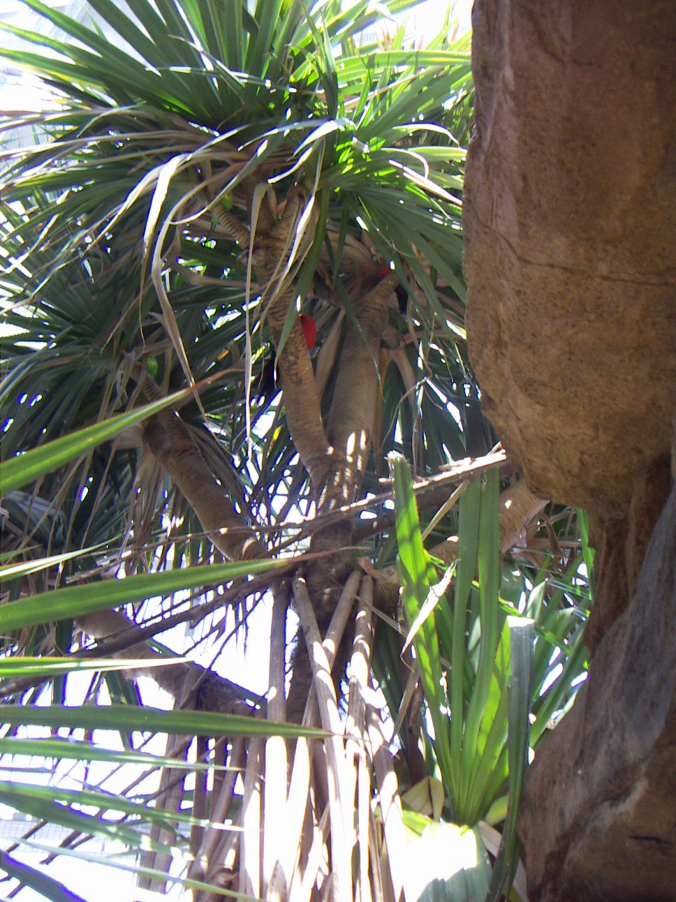 PICT0220.JPG