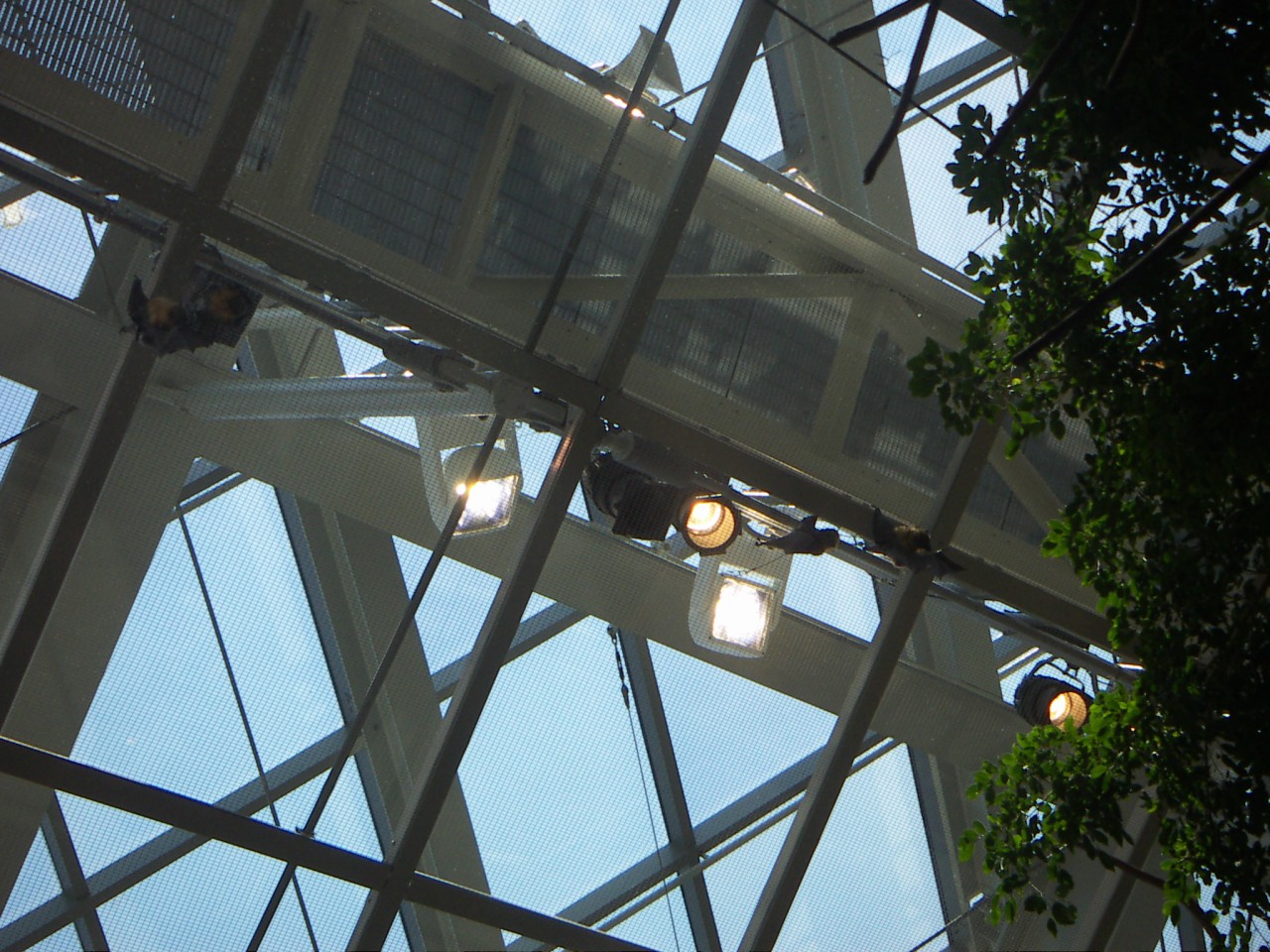 PICT0222.JPG