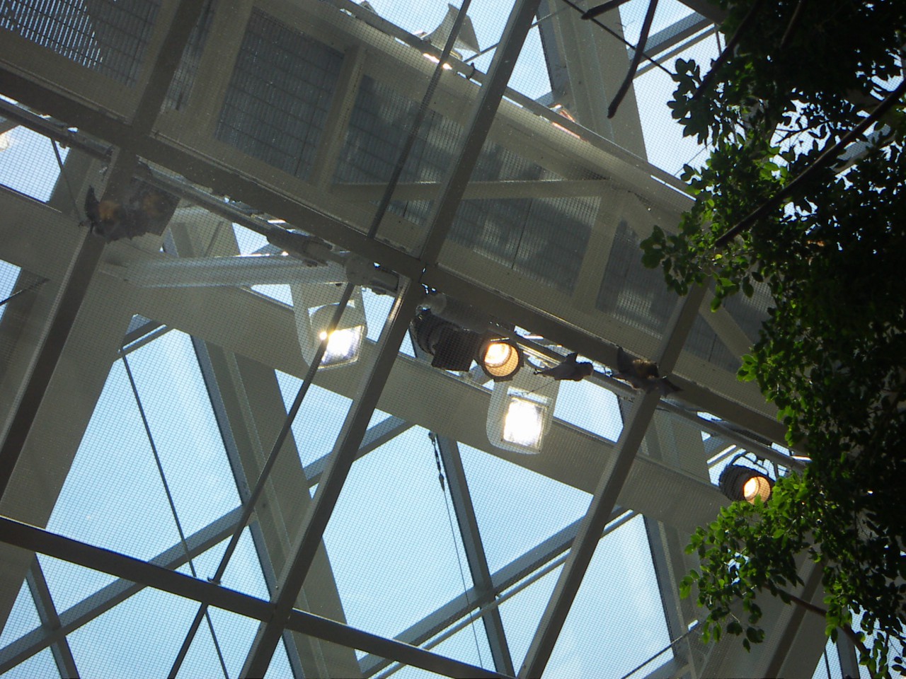 PICT0223.JPG