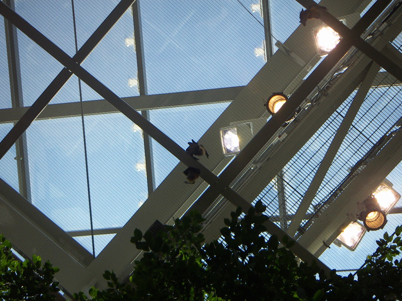 PICT0224.JPG