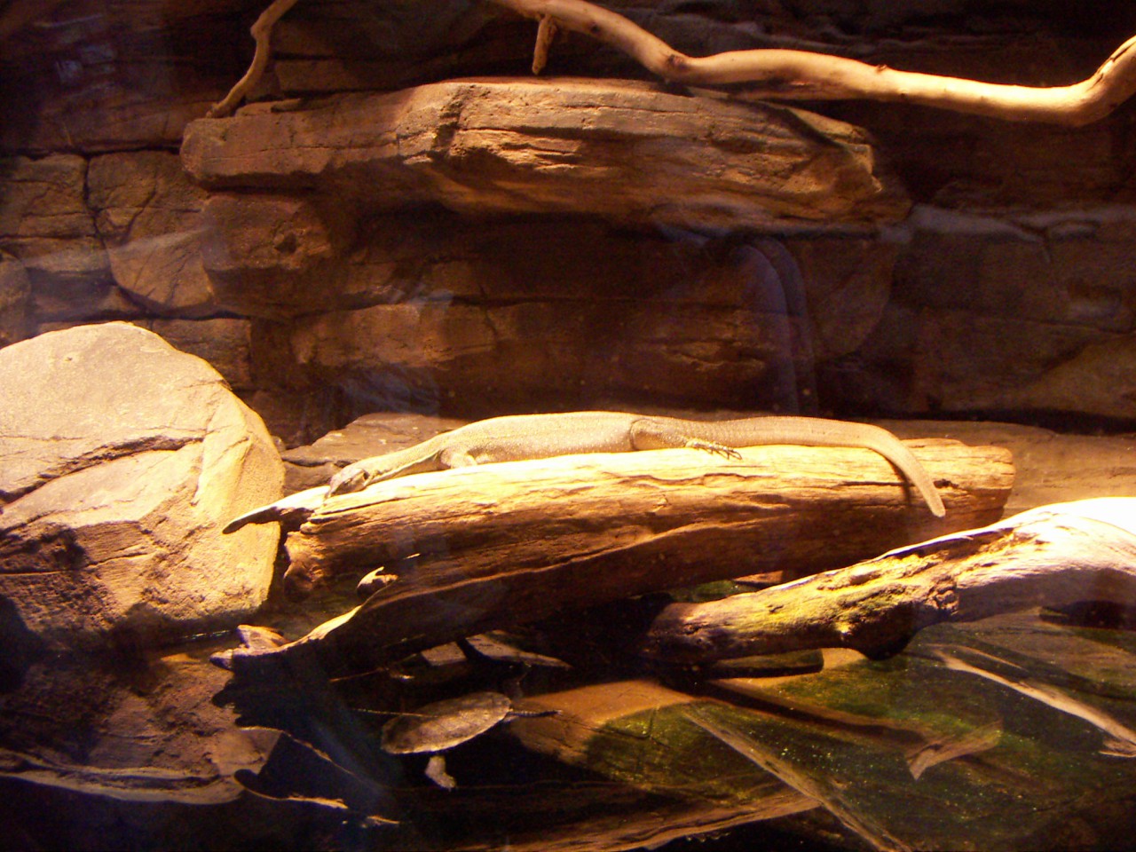 PICT0225.JPG