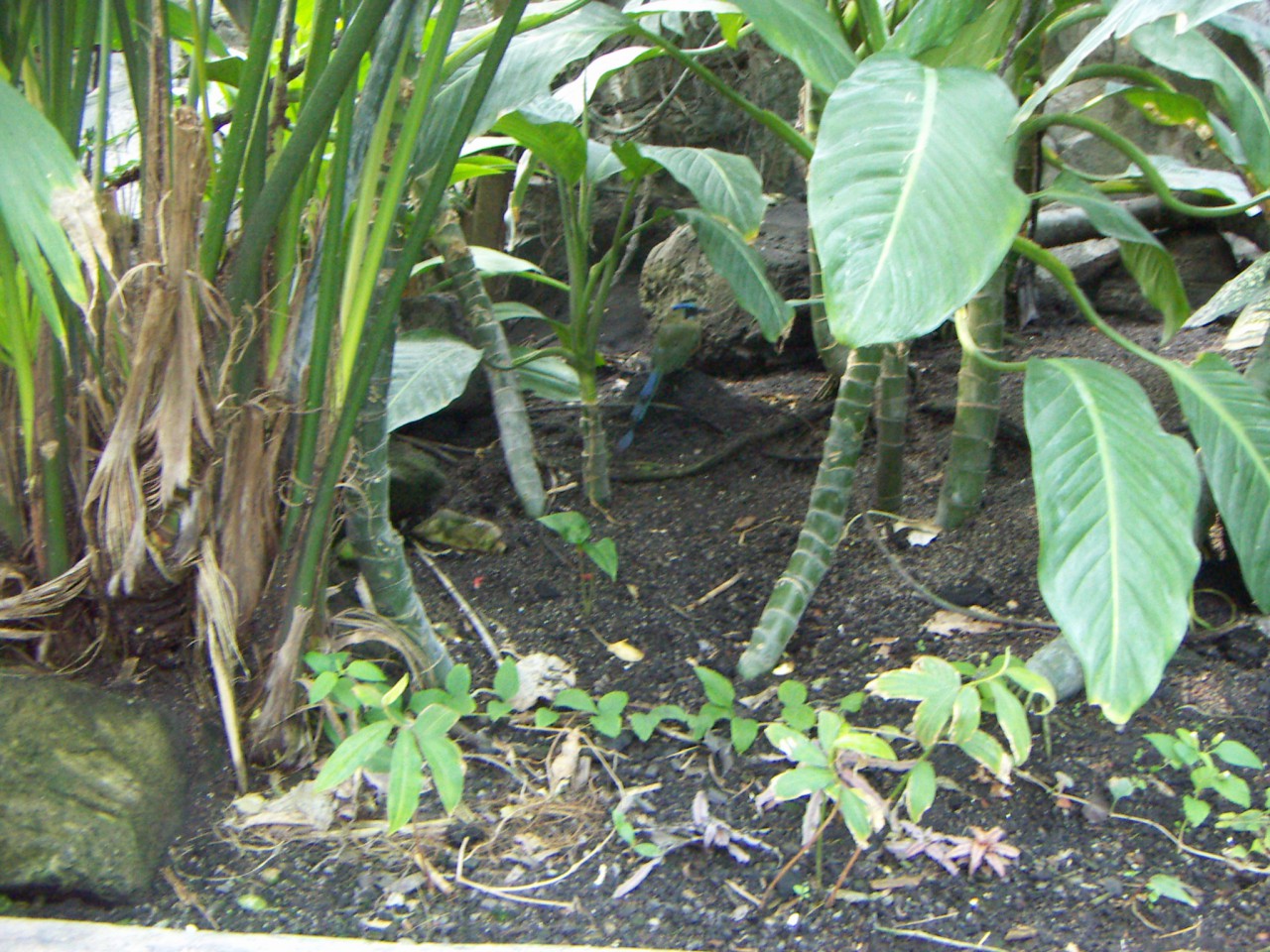 PICT0230.JPG