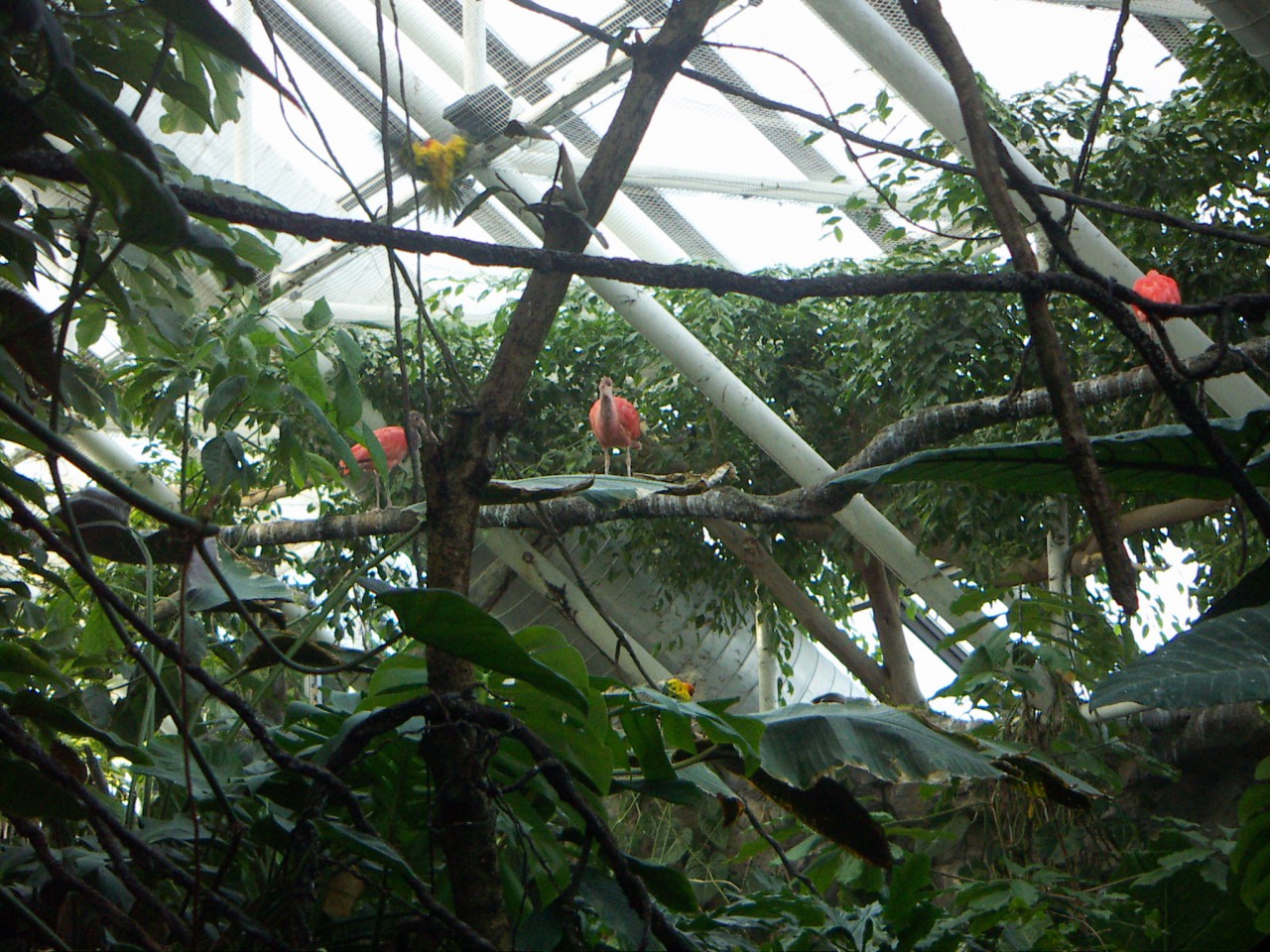 PICT0233.JPG