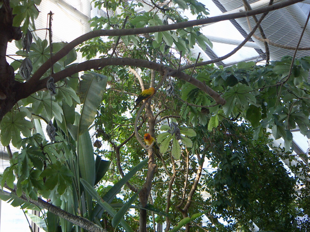 PICT0242.JPG